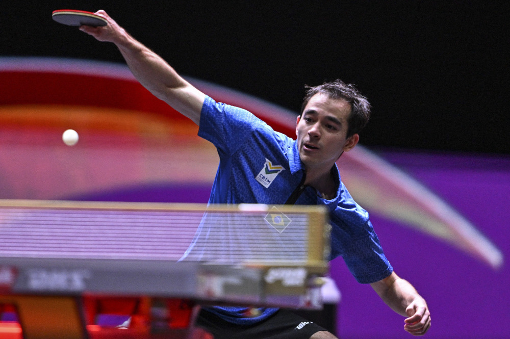 化的展示 化的展示