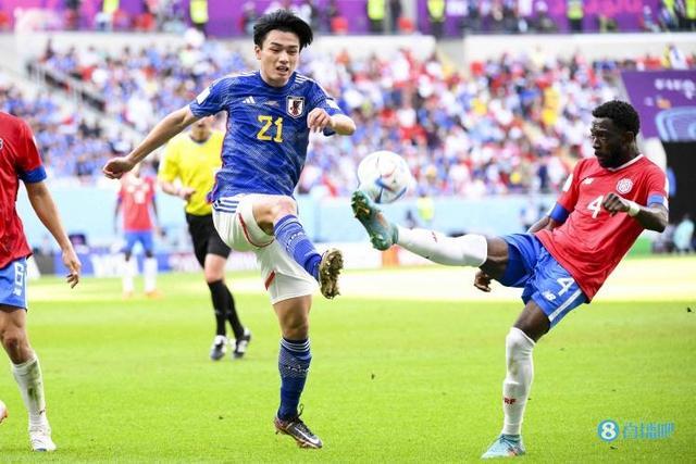 该青训营素 该青训营素