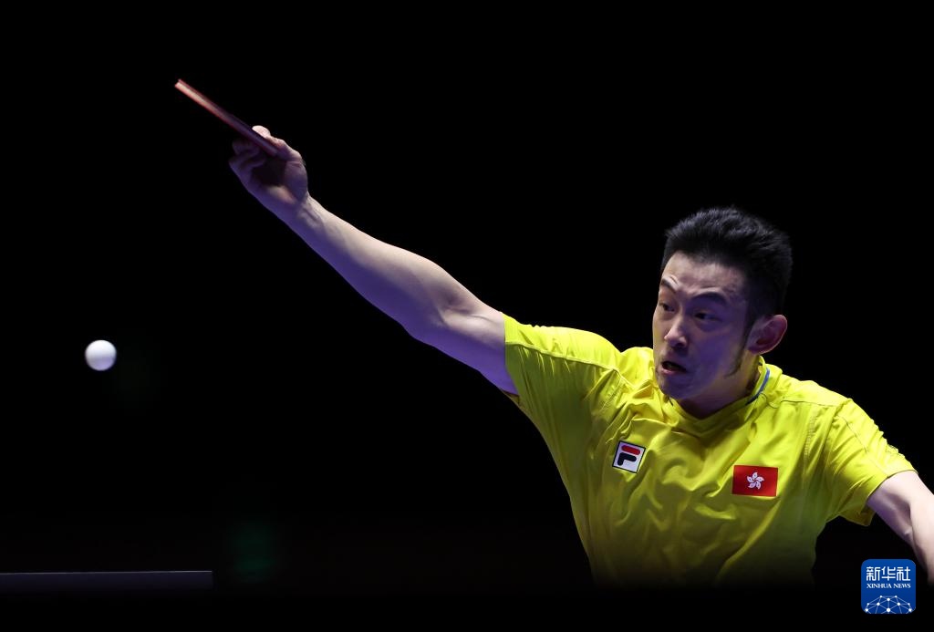 笼的残酷规 笼的残酷规