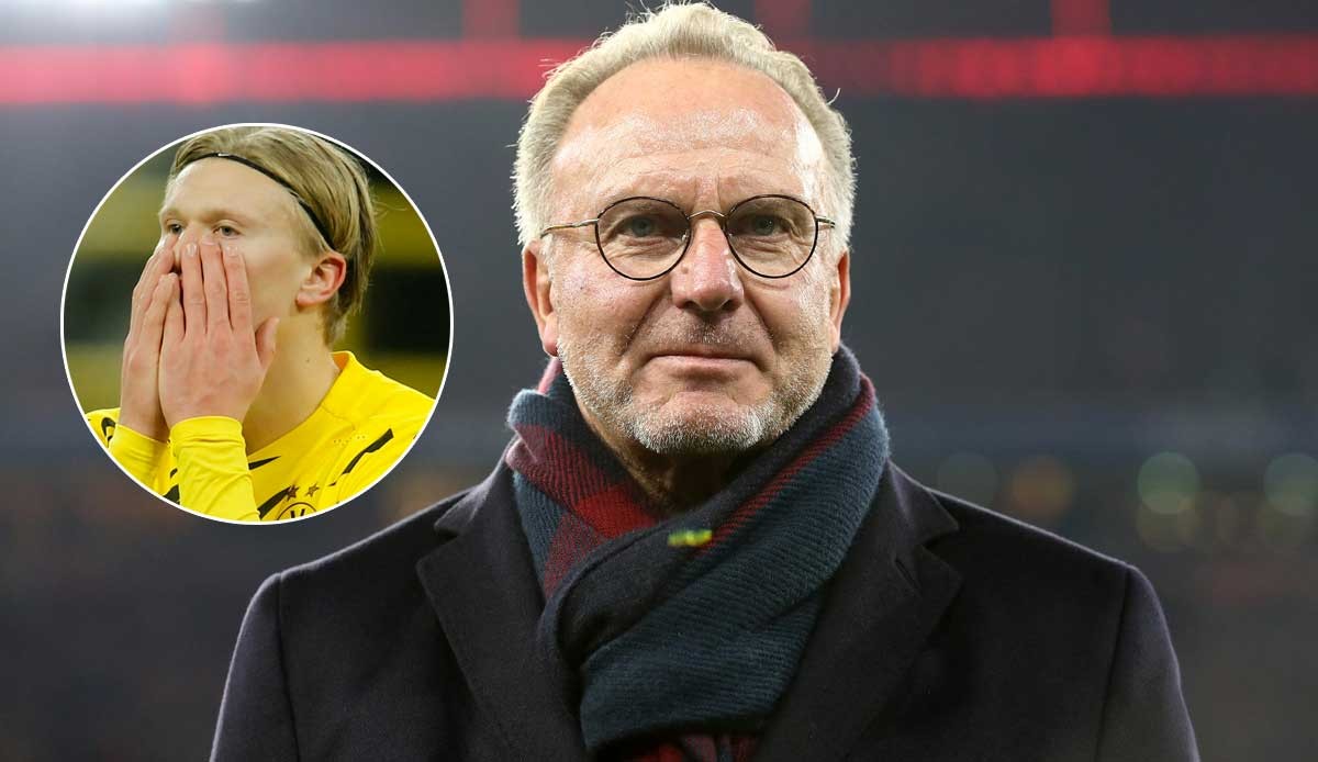 轴心的日本 轴心的日本